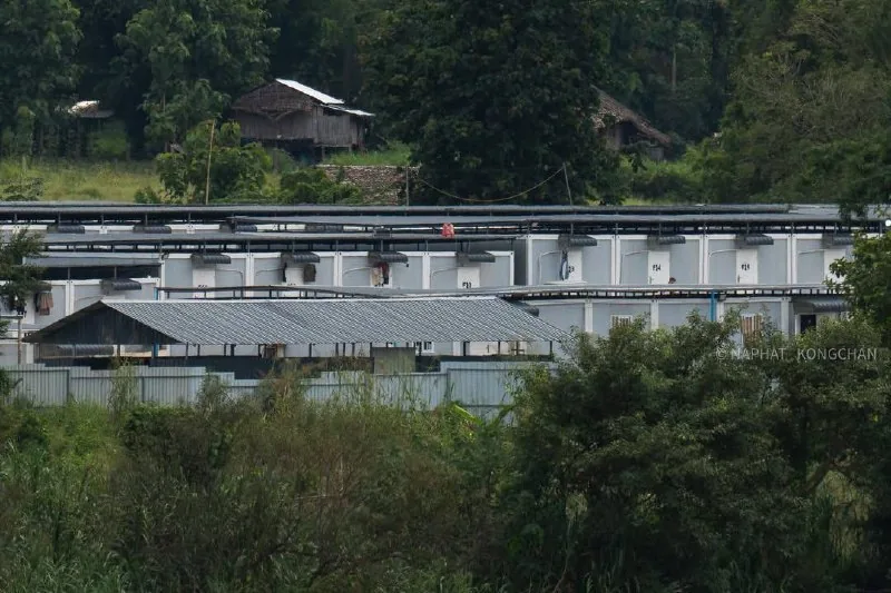 #泰缅边境出现新大型诈骗园区“瑞当尼” 图片 2