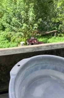 🐶：我不懂天气还不懂你吗？